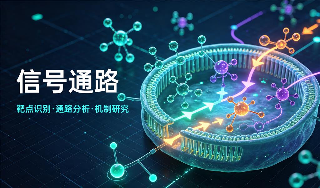 信号通路